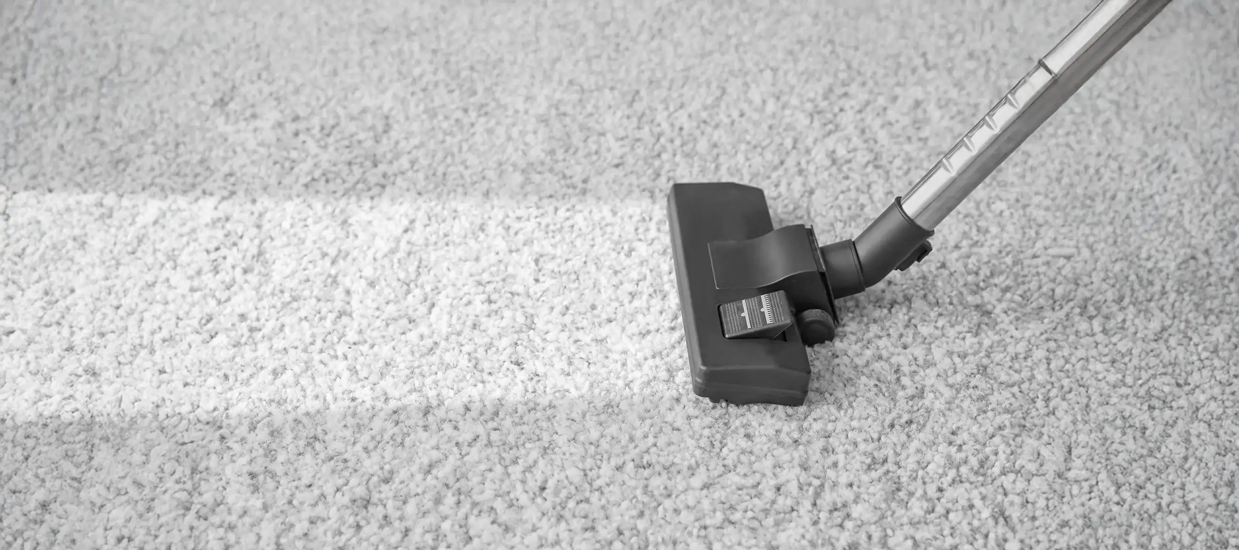  professional carpet cleaning in Brisbane 