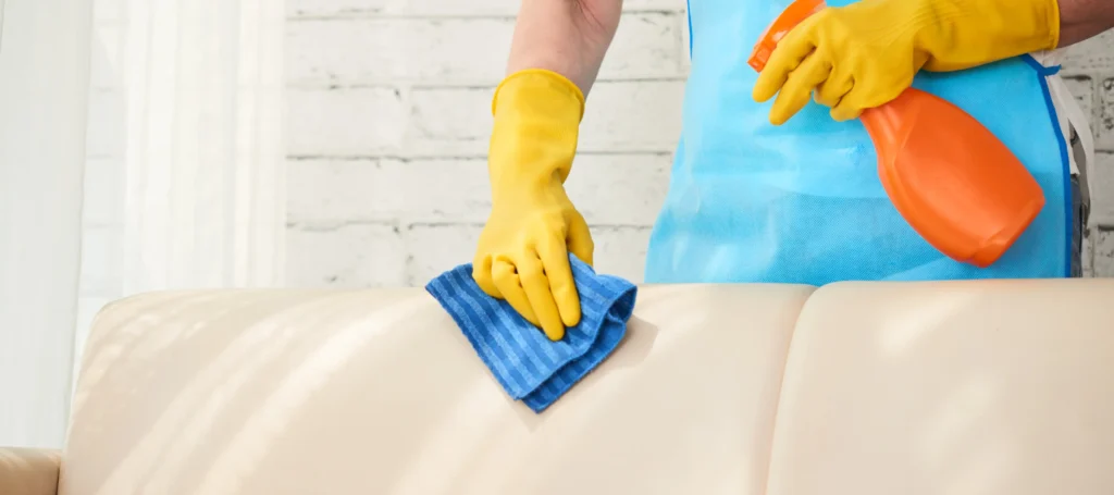 professional couch cleaning in australia