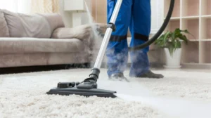 professional steam cleaning with the expert carpet cleaner