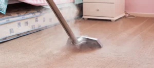 professional carpet steam cleaning by the expert carpet cleaner