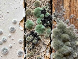 generated image 2 min