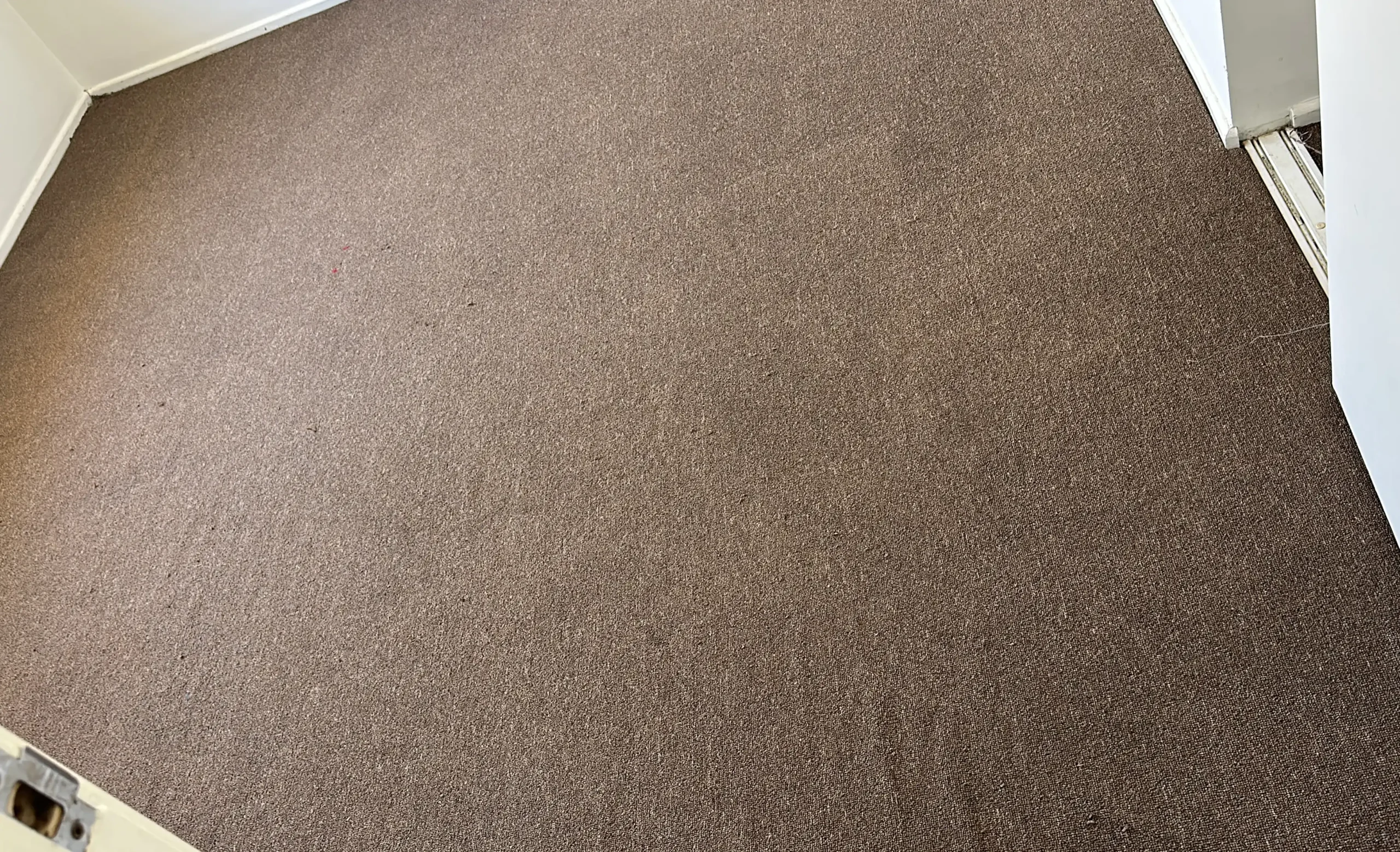 Flood-damaged area after professional cleaning and restoration