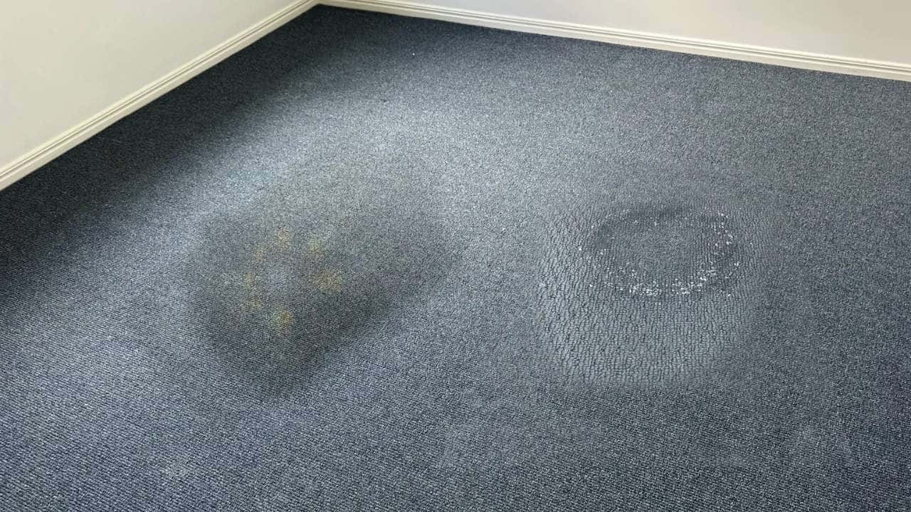 Carpet repair before, damaged carpet need to be repaired