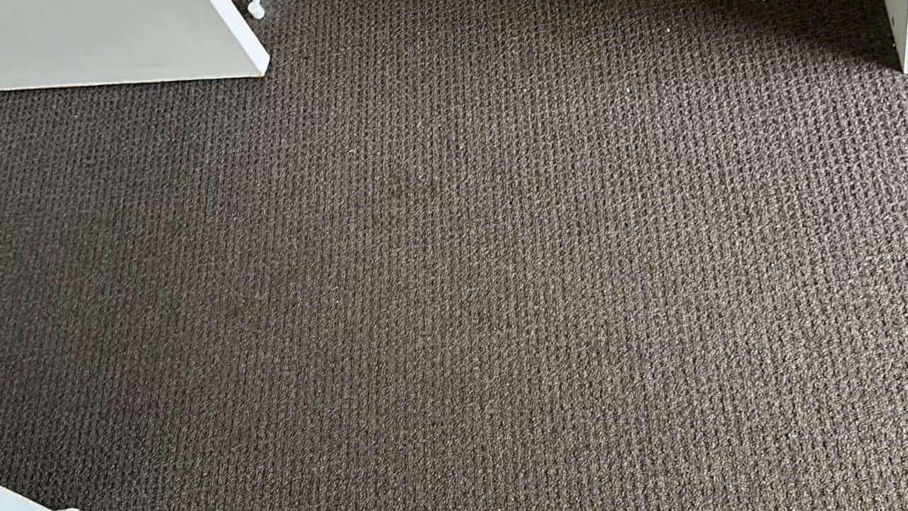 After expert carpet cleaning, clean carpet without any stain and dirt