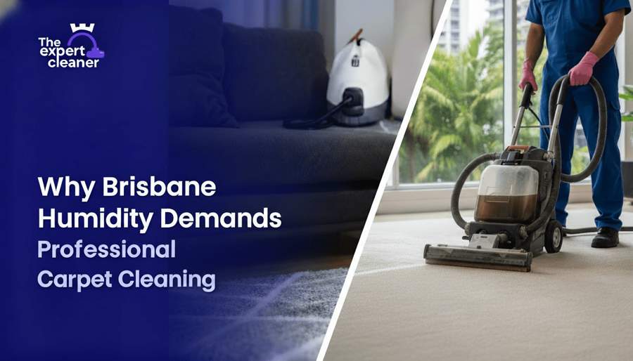 Why Brisbane Humidity Demands Professional Carpet Cleaning